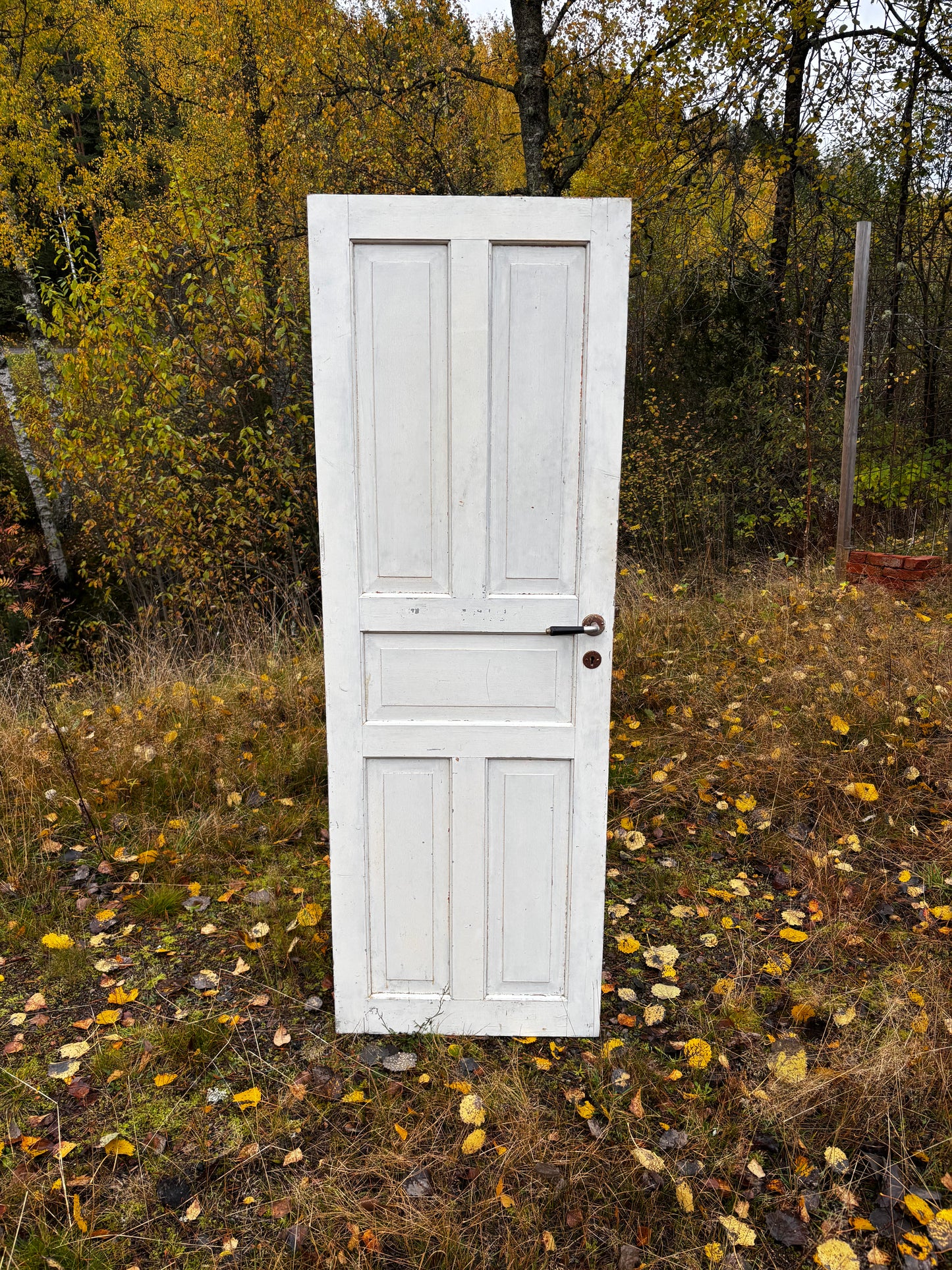 Skafferidörr 181,5x62
