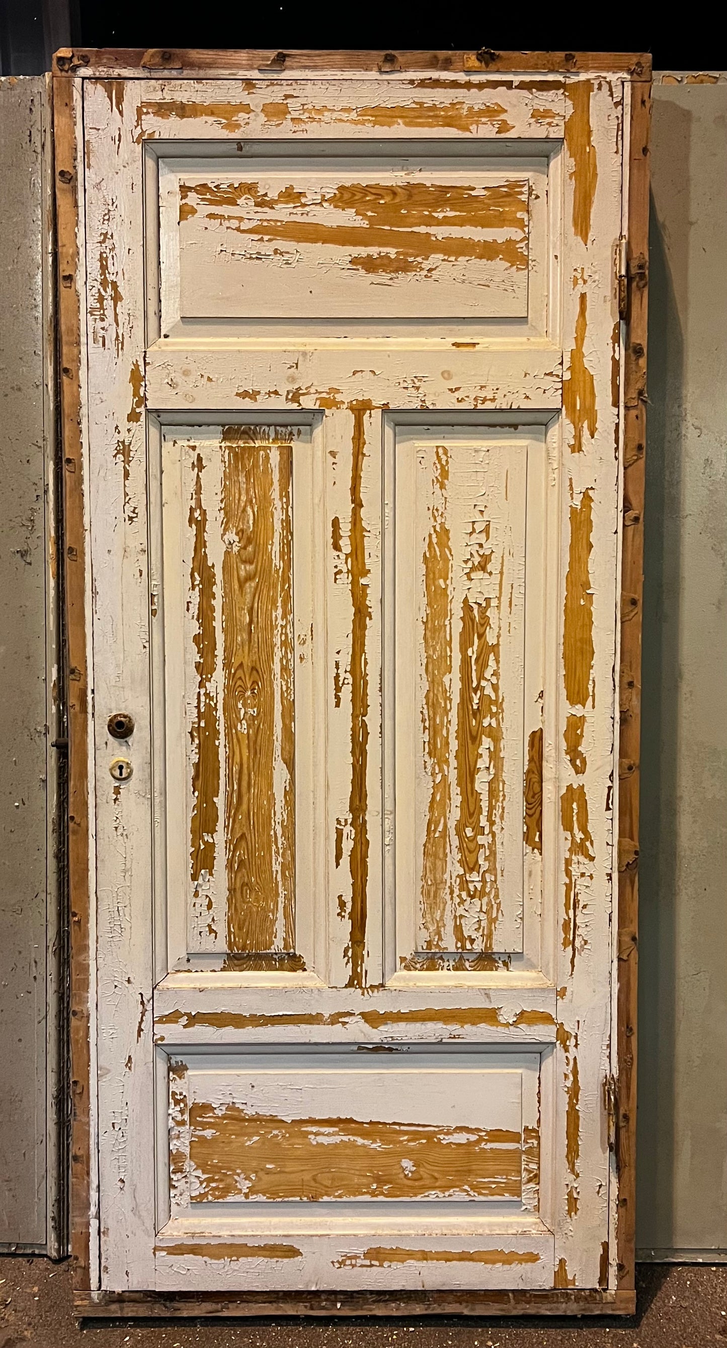 Spegeldörr med karm 100x217,5