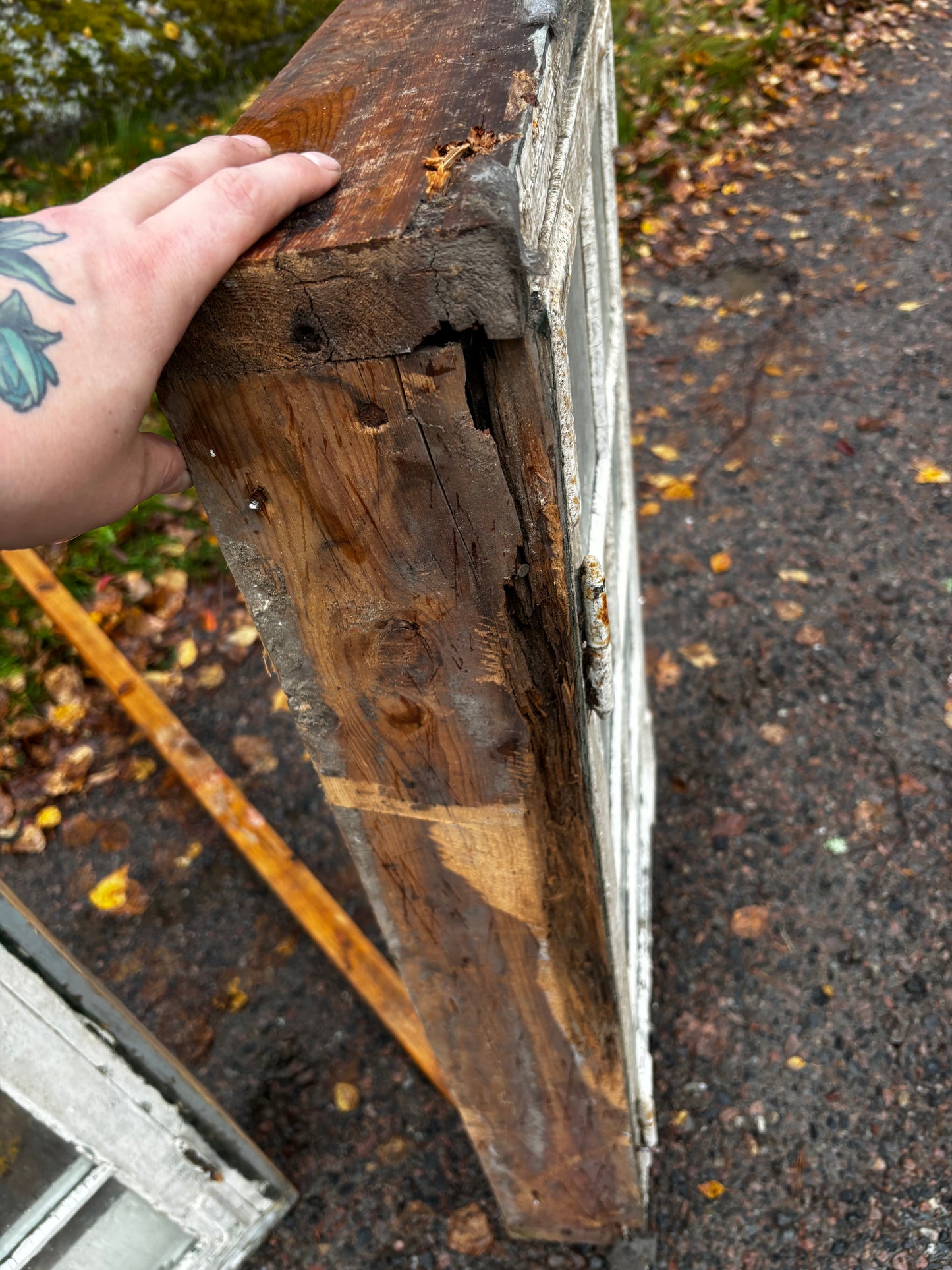 Fönster med karm 58x93 2+1