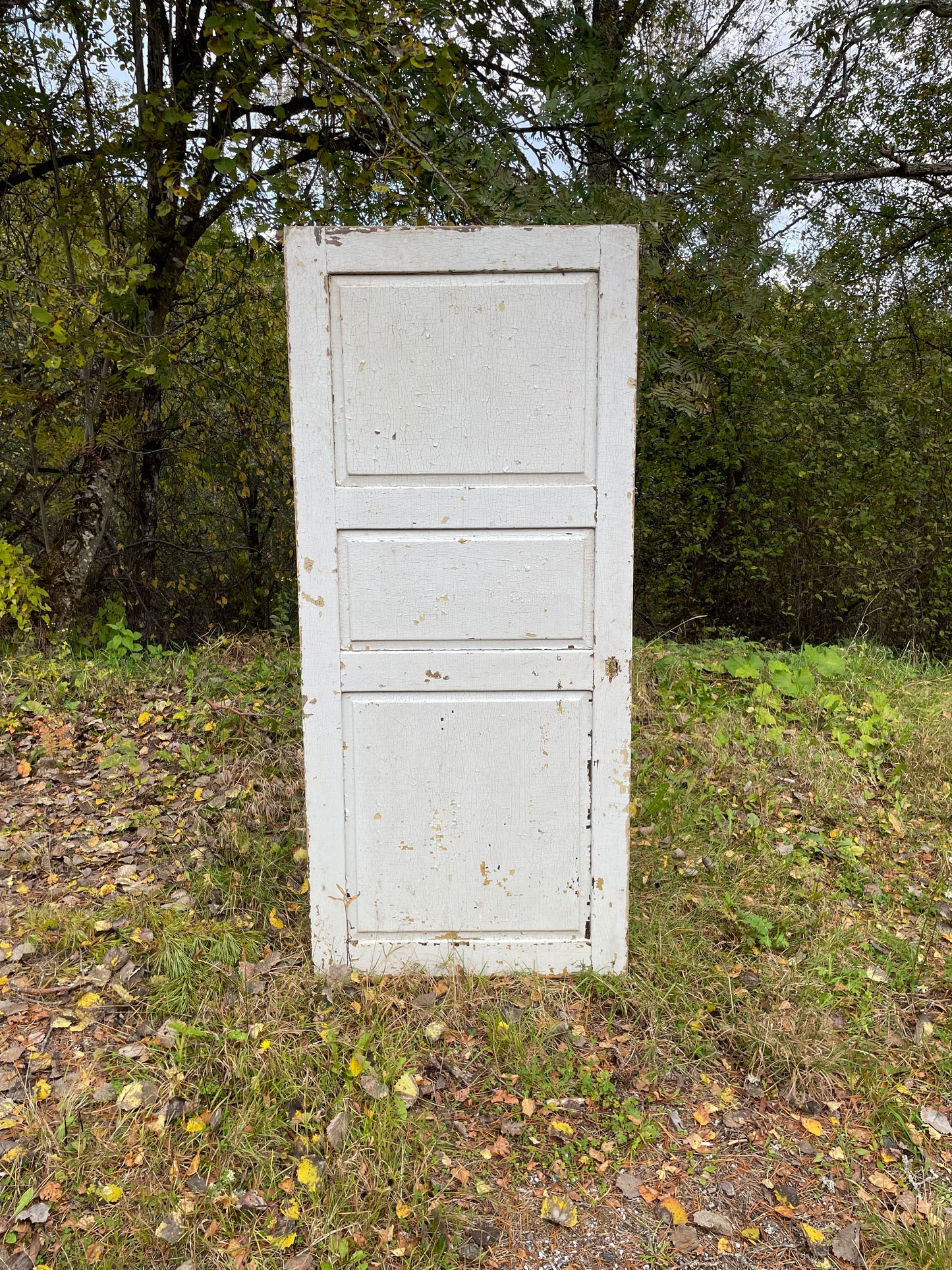 Dörrblad 82,5 x 186