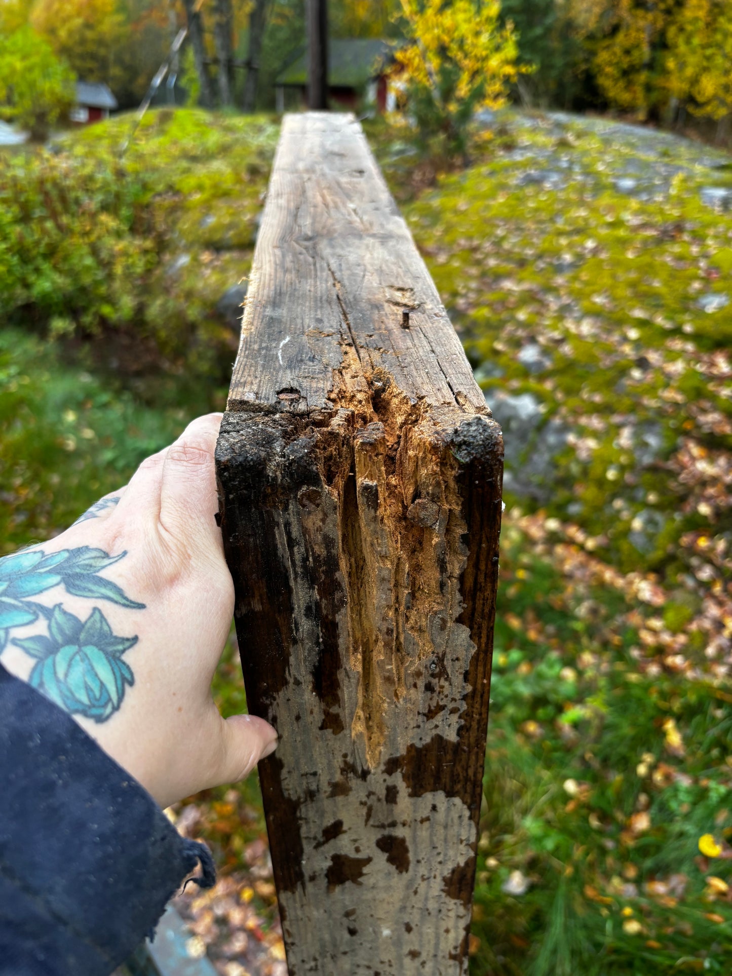 Fönster med karm 1+1 100x172