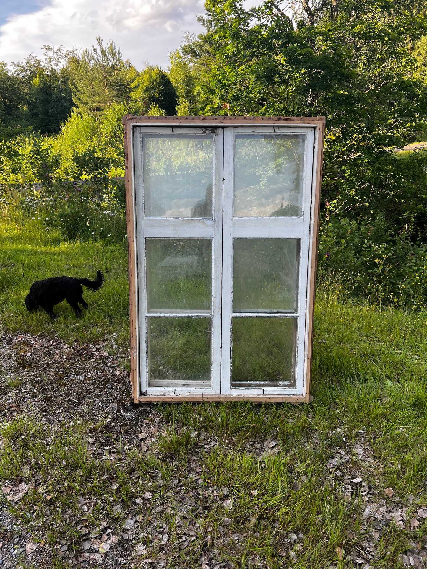 Flaggfönster 155x102