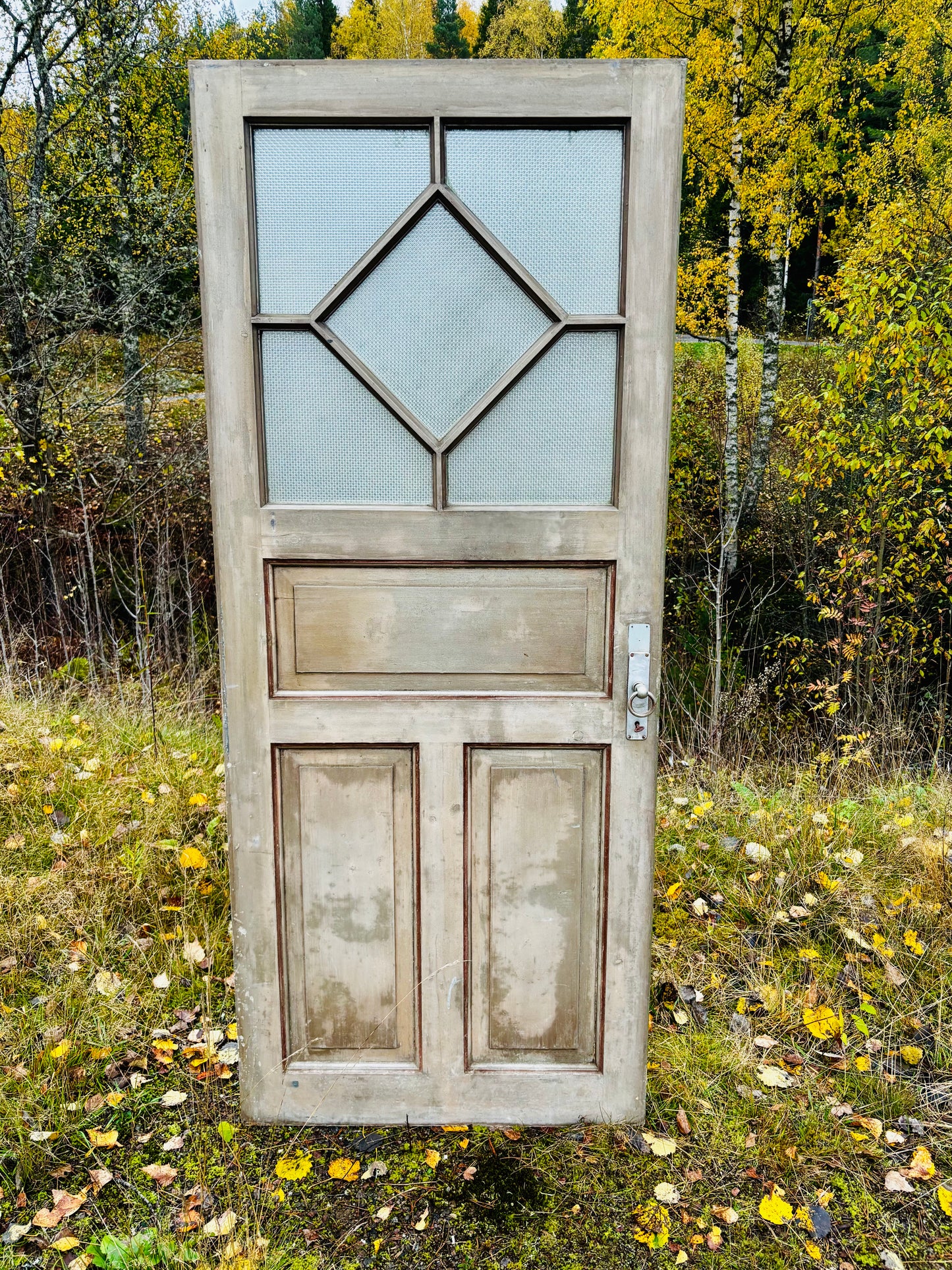 Enkeldörr med glas 204x85