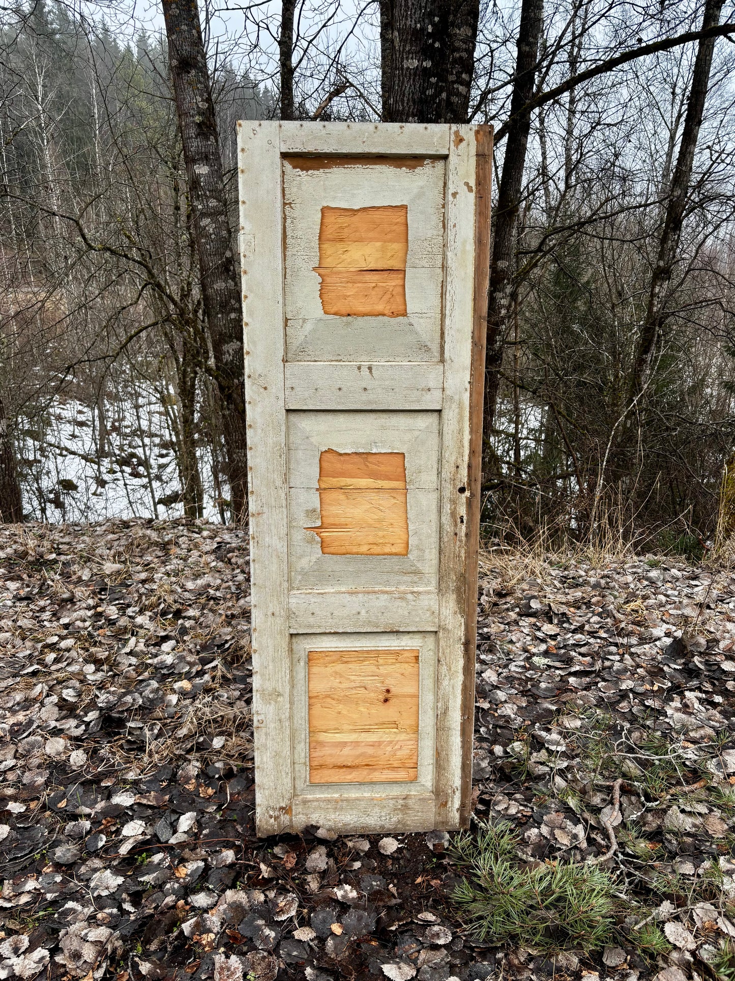Skafferidörr 59 x 181