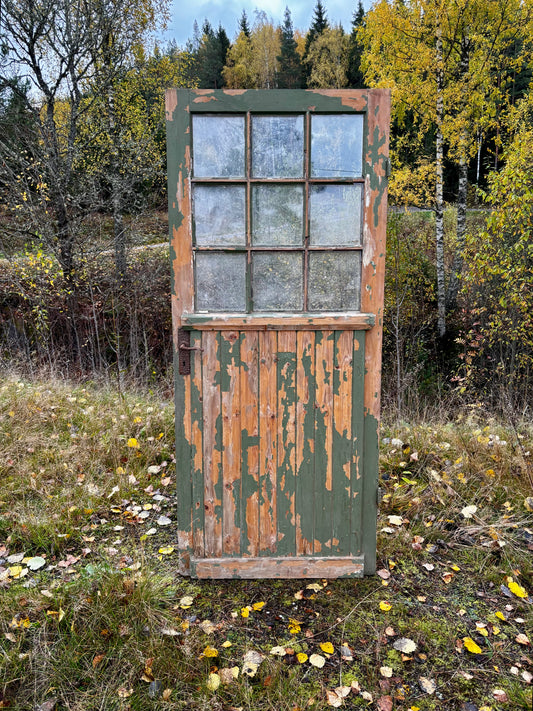 Enkeldörr med glas 197x85