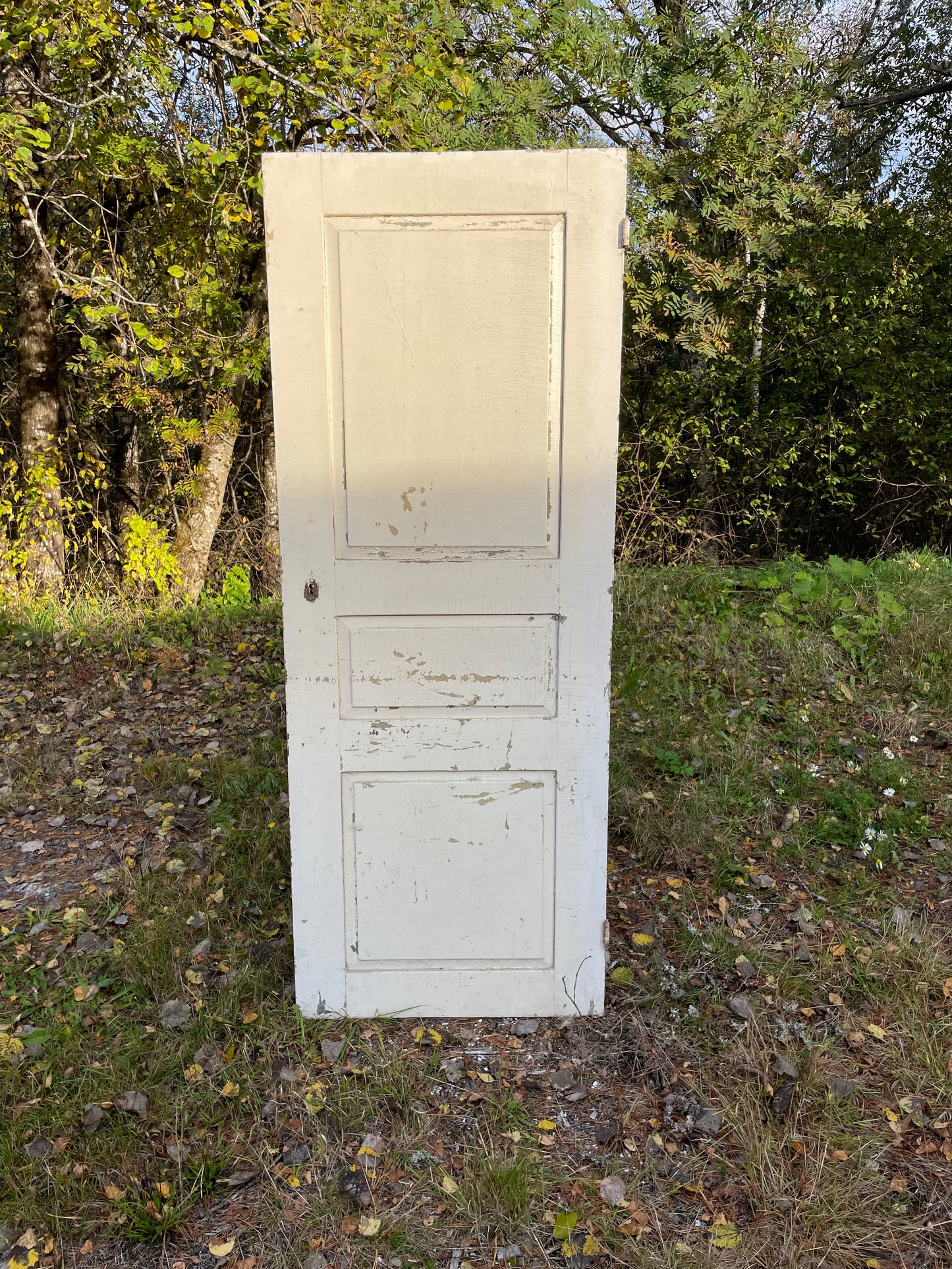 Dörrblad 72,5 x 189,5 finns 3st