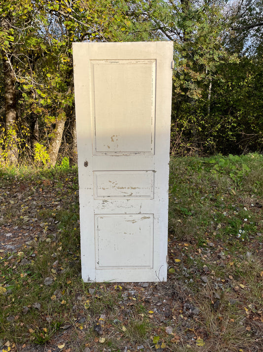 Dörrblad 72,5 x 189,5 finns 3st