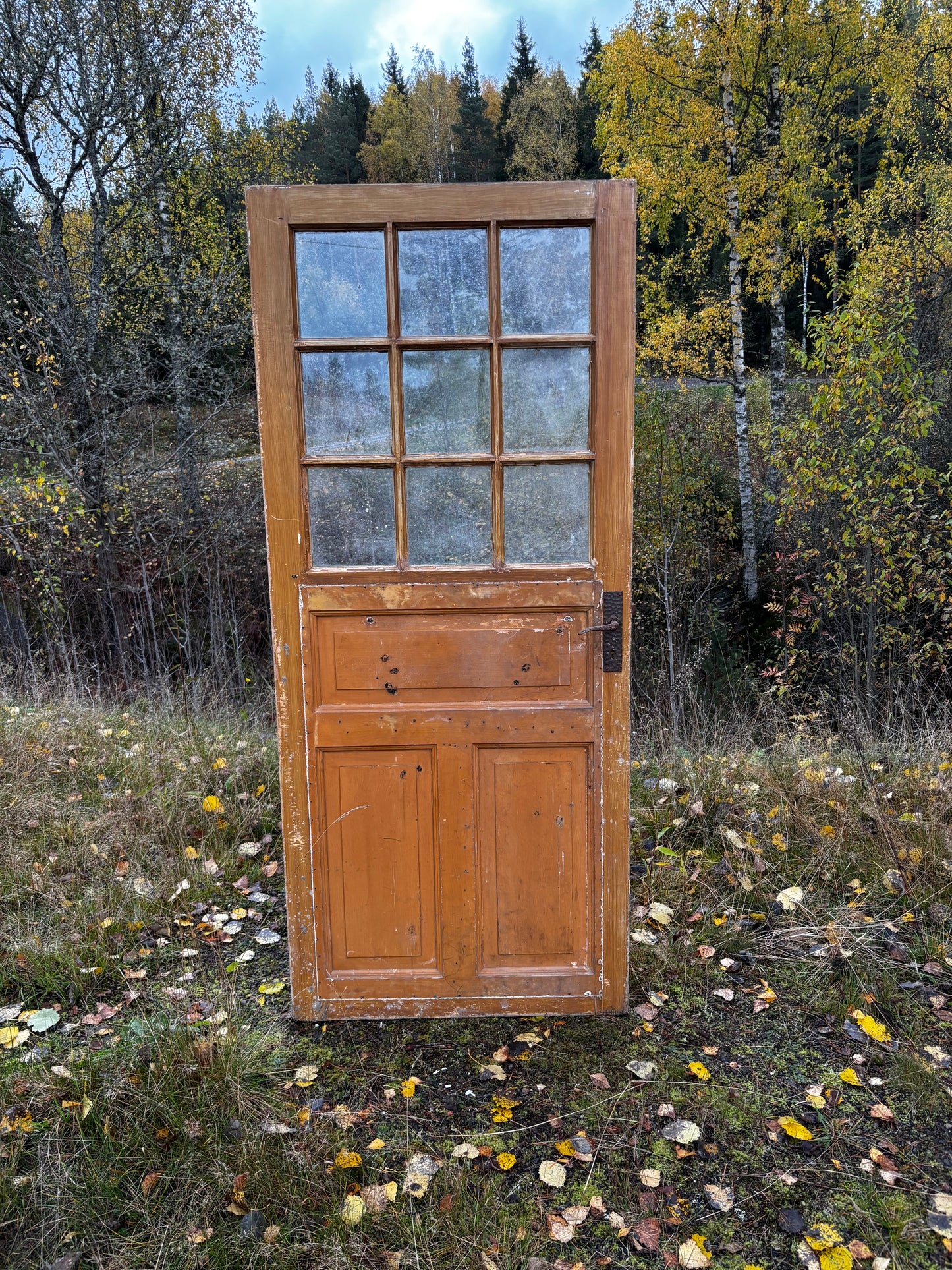 Enkeldörr med glas 197x85