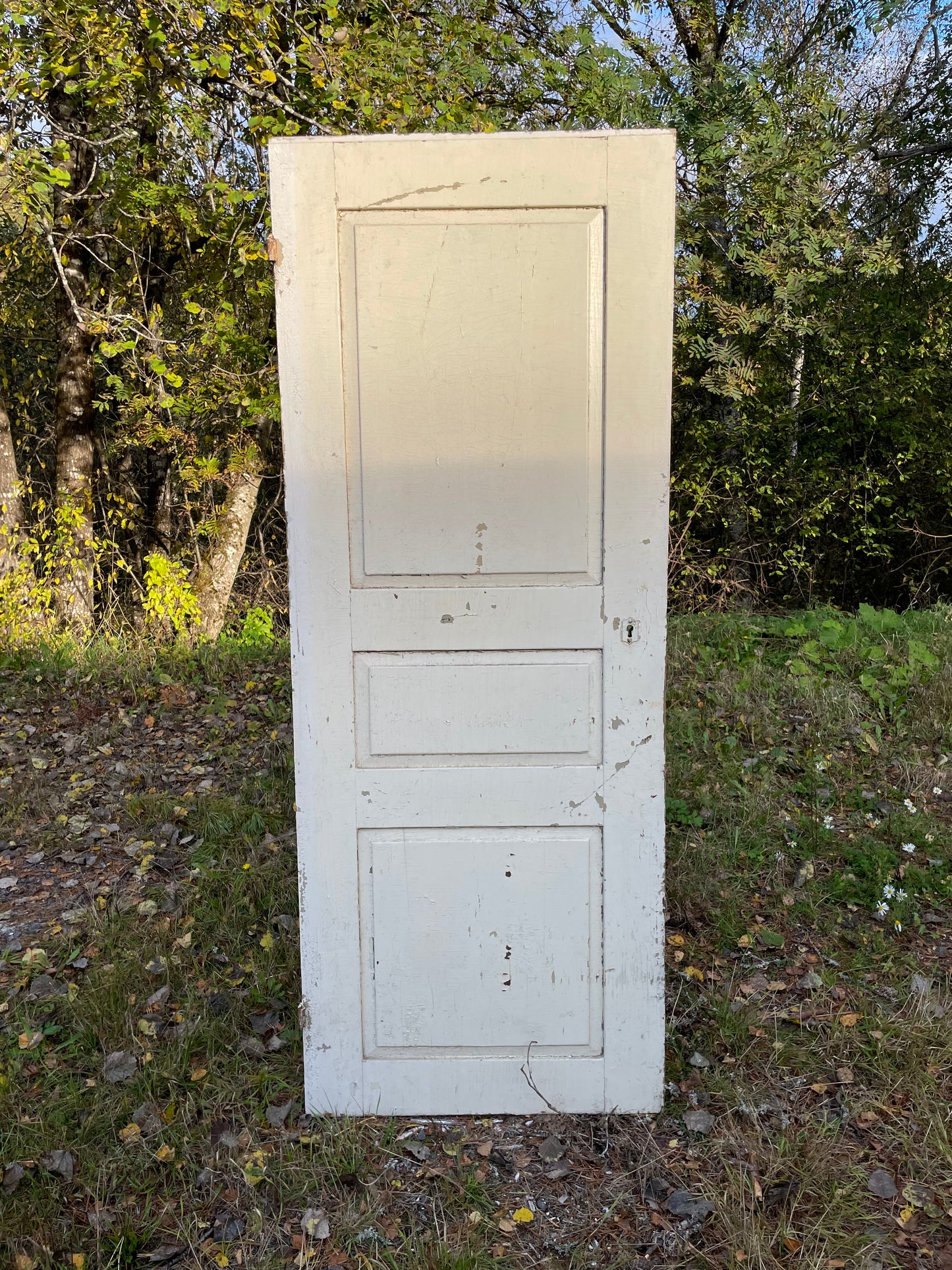 Dörrblad 72,5 x 189,5 finns 3st