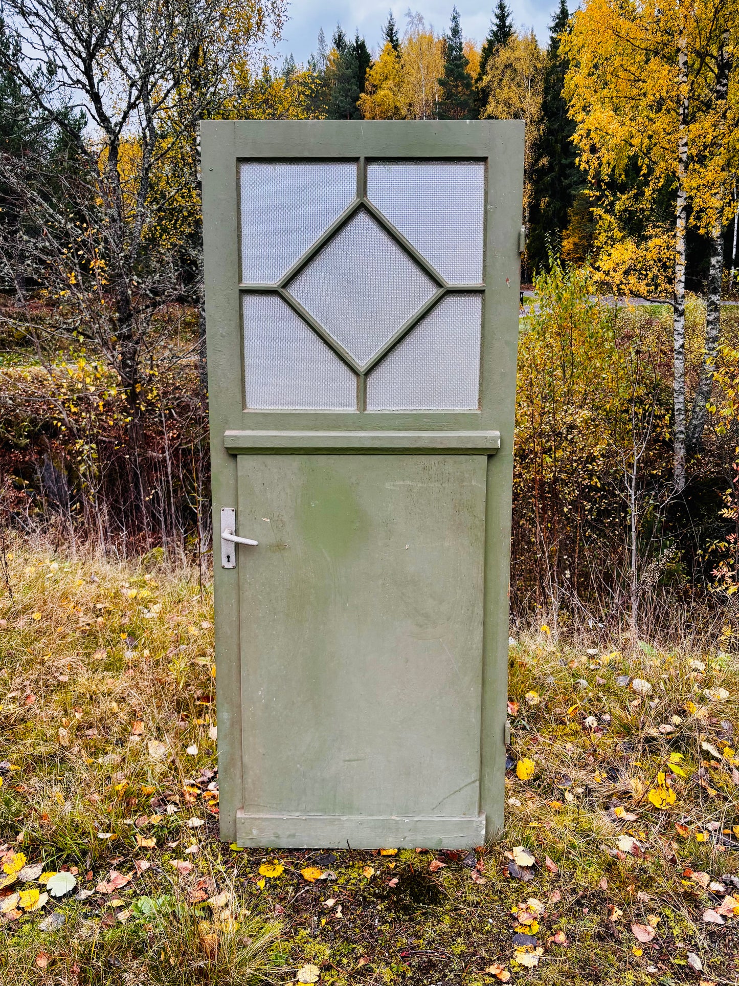 Enkeldörr med glas 204x85
