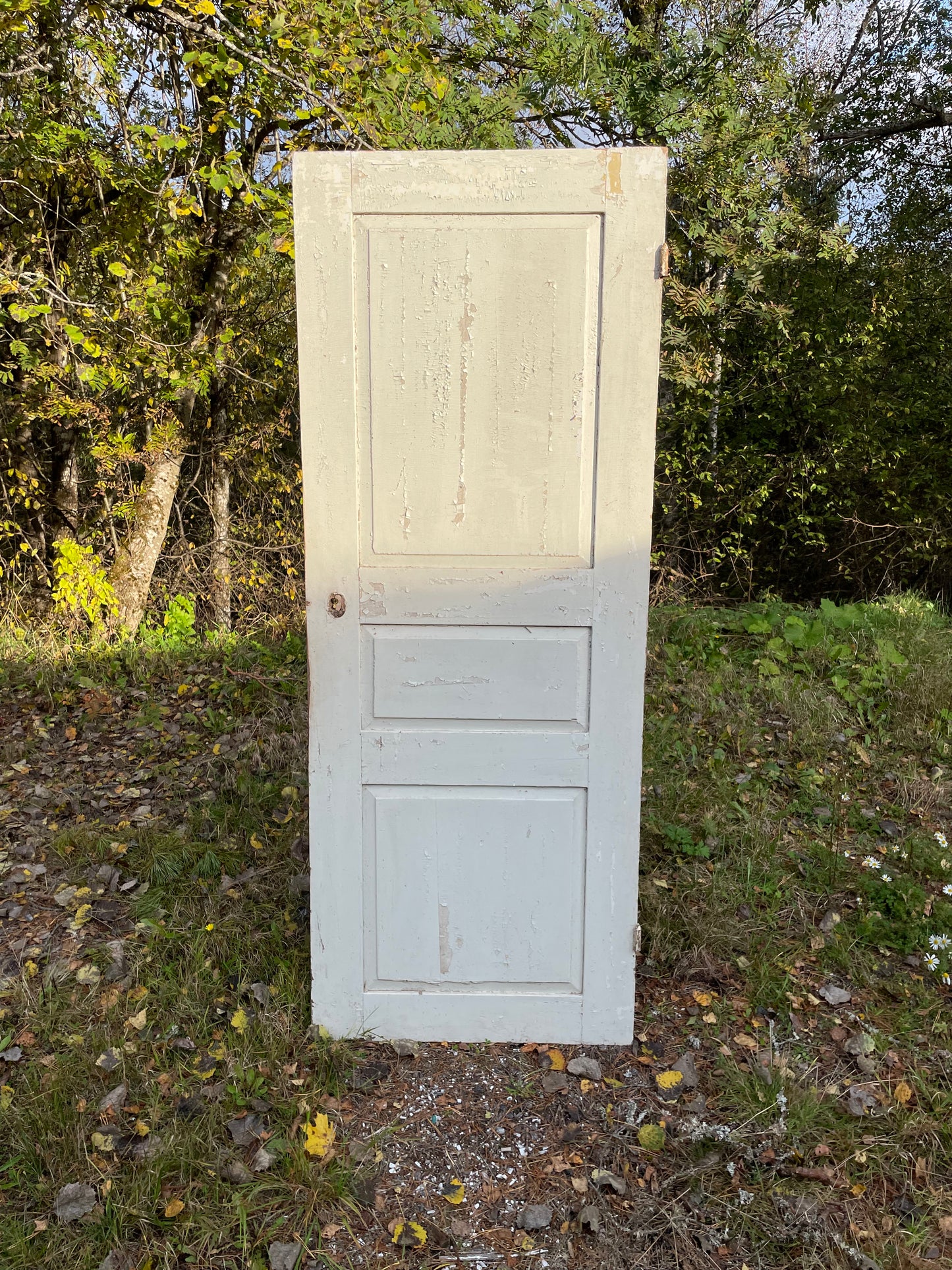 Dörrblad 72,5 x 189,5 finns 3st