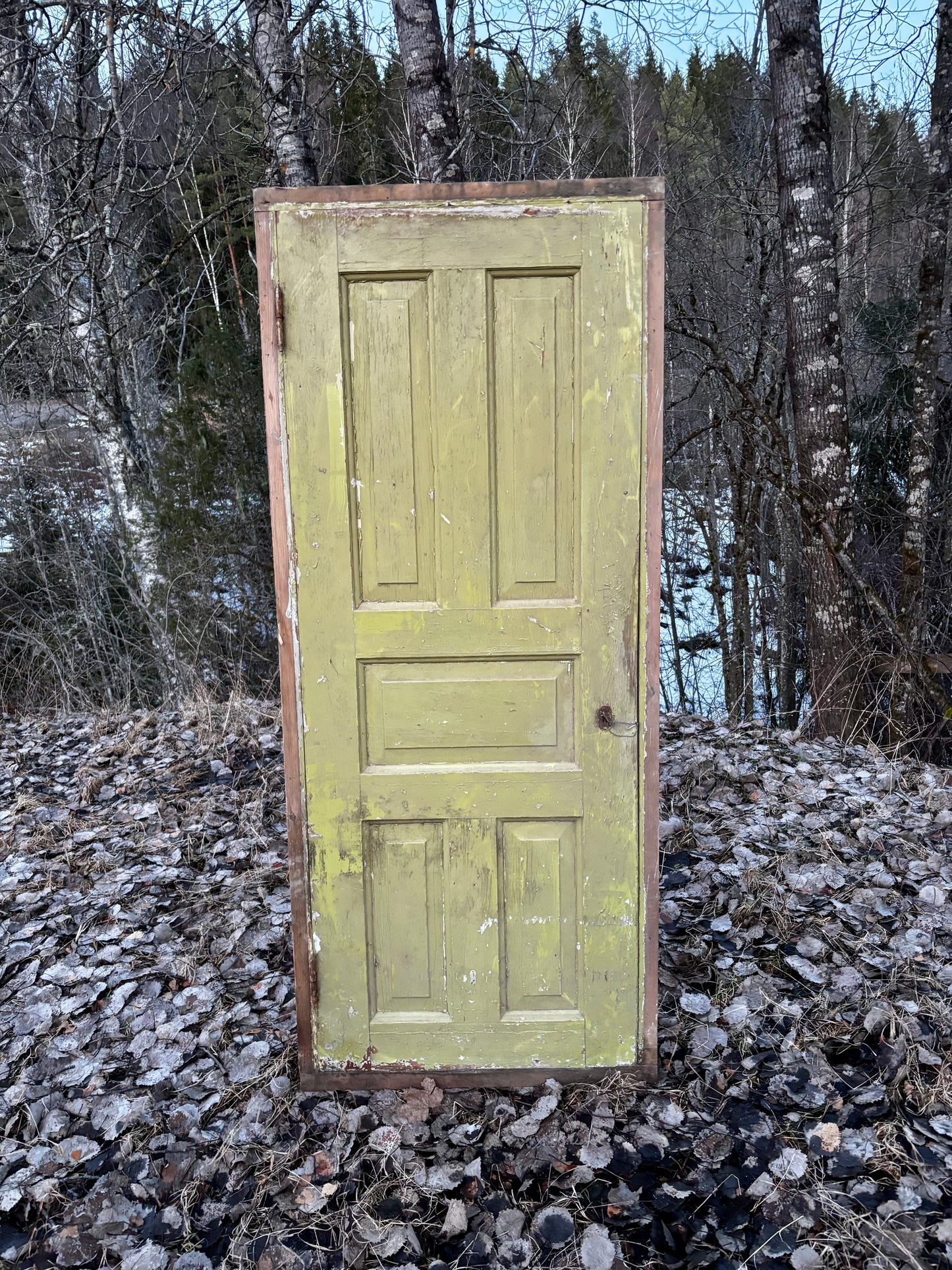 Skafferidörr 74 x 188