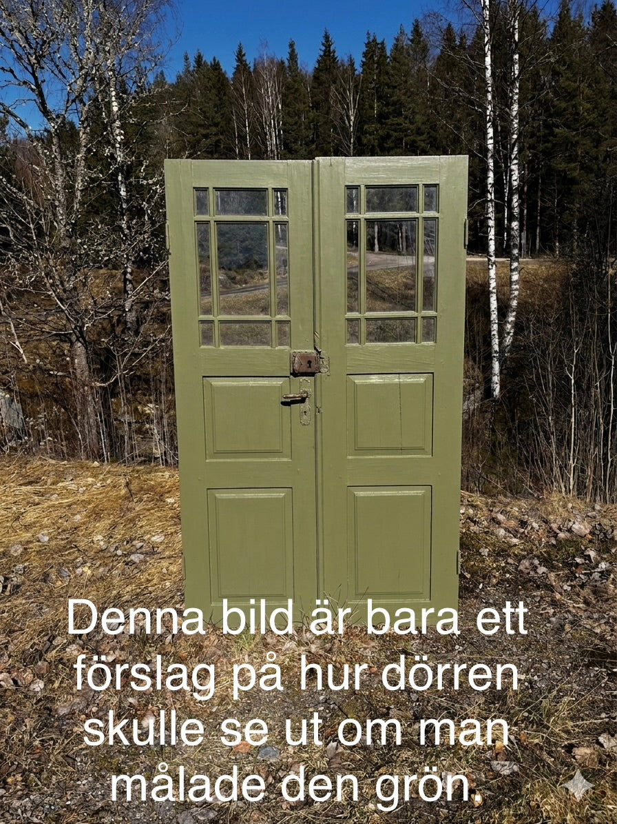 Pardörr 107x176
